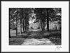 Free E Greeting Card of St. Joseph Monastery - Front Walkway