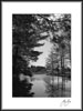 Free E Greeting Card of St. Joseph Monastery - Sister's Pond