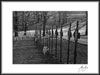 Monk's Crosses II and White Photography